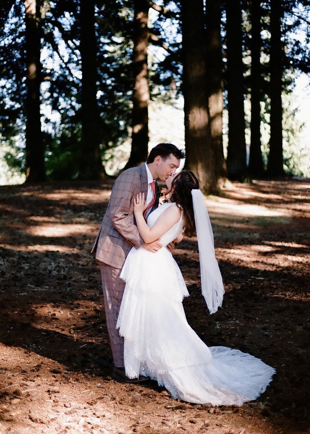 A couple kisses in a sunlit redwood grove, her lace gown and veil trailing across the forest floor